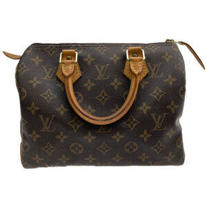 Louis Vuitton Monogram Speedy Handbag